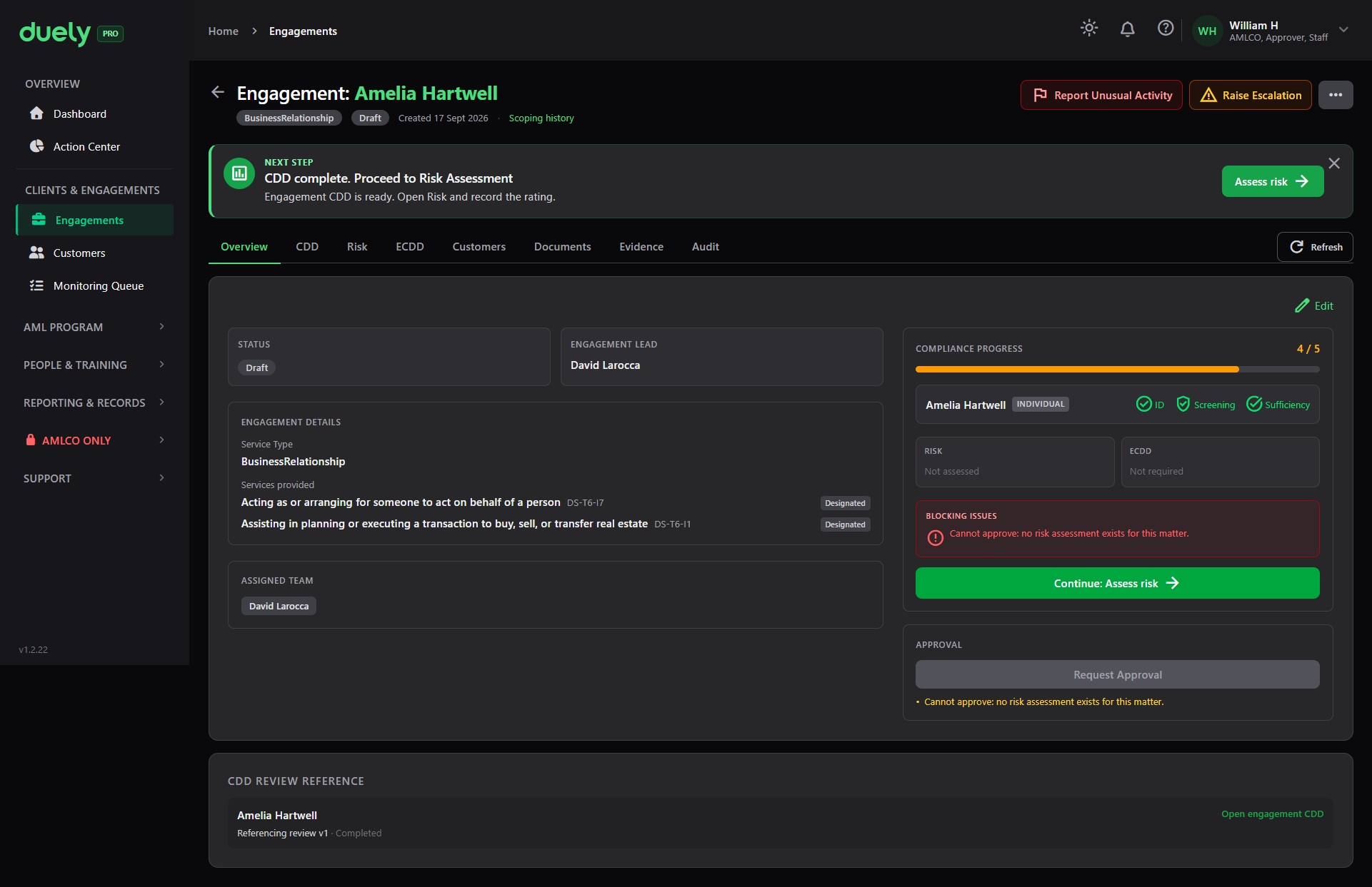 The Overview tab on a new draft engagement.